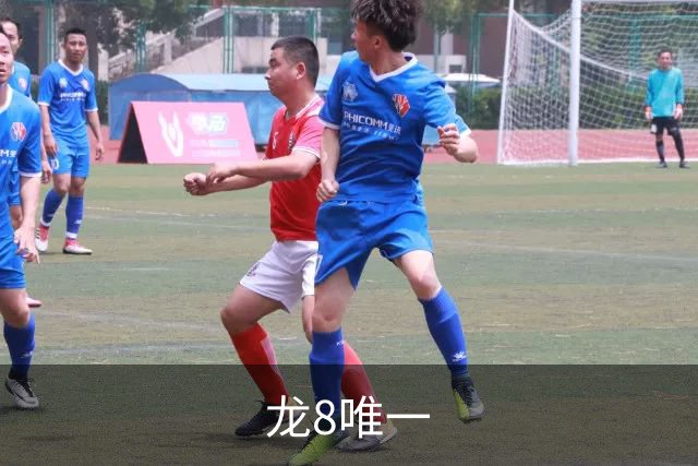 龙8唯一
